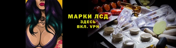 стаф Осташков