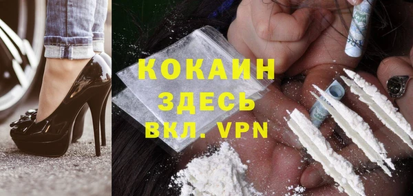 стаф Осташков