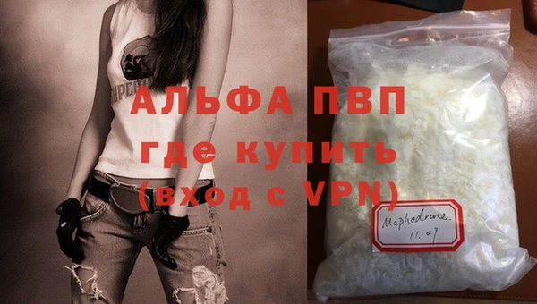 стаф Осташков